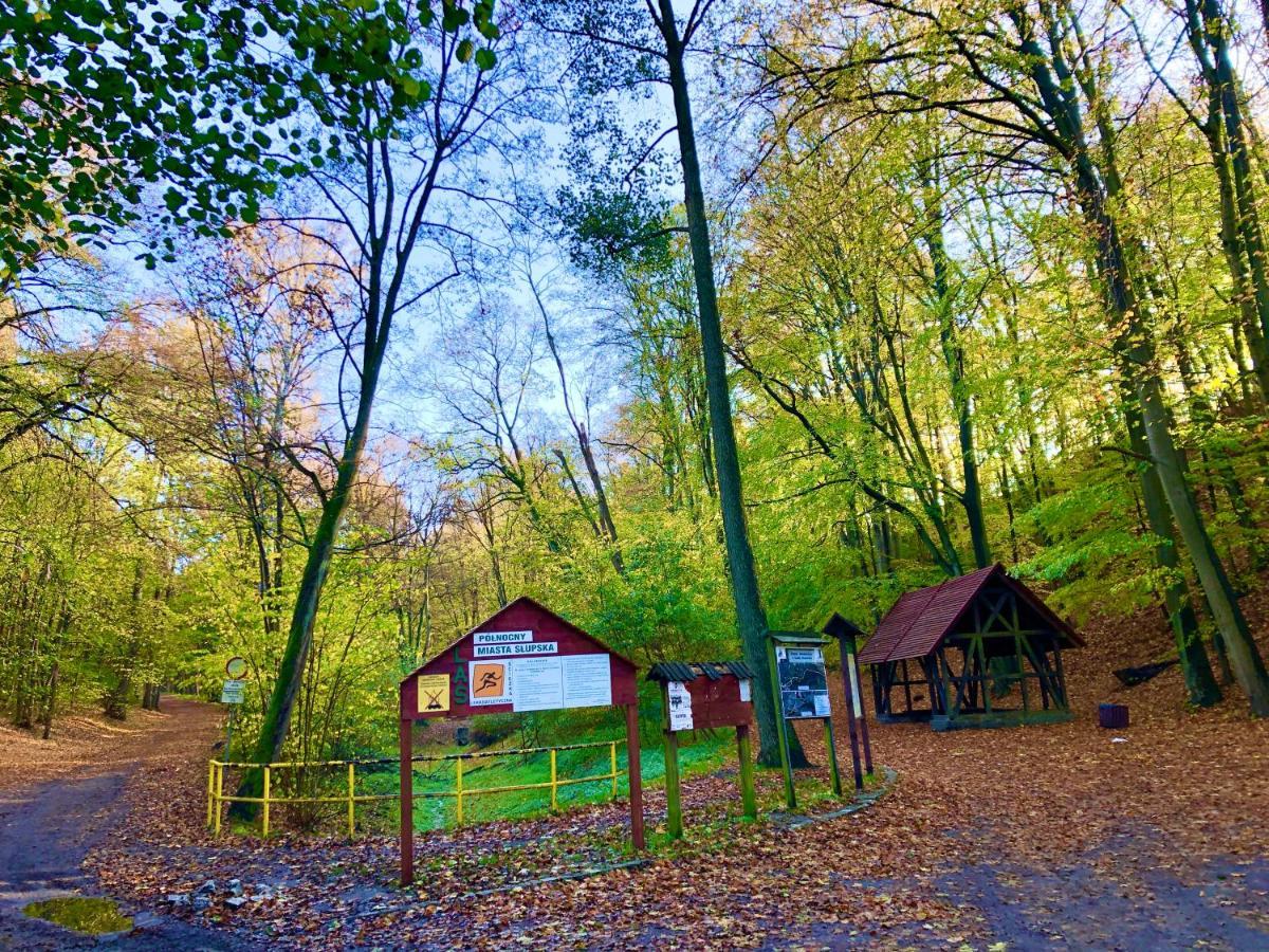 BUSINESS APARTMENT WiFI Netflix 3x Smart TV50' two extra large double beds ADULTS ONLY No smoking Słupsk Esterno foto